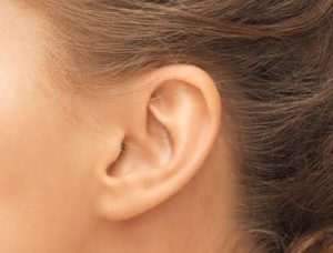 Aparelhos auditivos BH/Aparelhos auditivos - Tudo sobre a perda auditiva